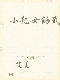 小龙女的武功