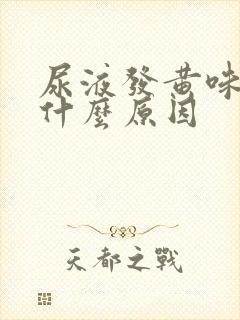 尿液发黄味很重什么原因