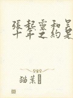 张起灵和吴邪的十年之约是什么封面