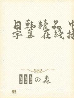 日韩精品 中文字幕 在线播放
