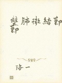 双肺微结节小结节