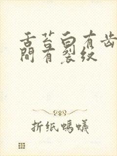 舌苔白有齿痕中间有裂纹