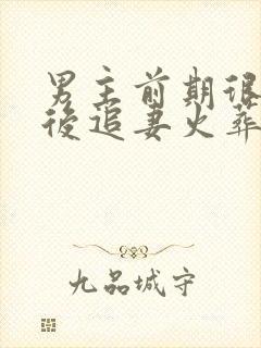 男主前期很花心后追妻火葬场