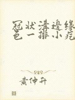 冠状沟边缘起肉色一排小疙瘩