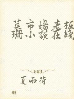 菜市场老板李芷珊小说在线阅读