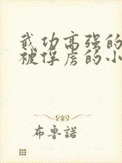 武功高强的女侠被俘虏的小说封面