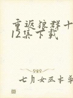 重返狼群十周年12集下载