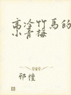 高冷竹马的乖乖小青梅封面