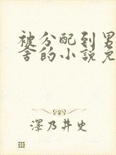 被分配到男寝宿舍的小说免费阅读封面