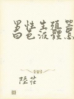 男性生殖器总流白色液体怎么回事