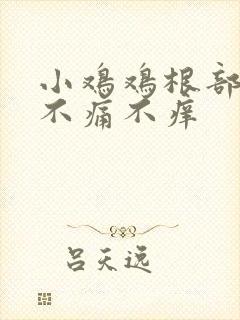 小鸡鸡根部疙瘩不痛不痒封面