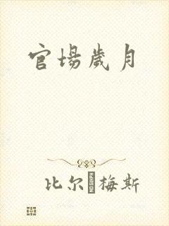 官场岁月