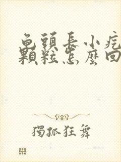 龟头长小疙瘩小颗粒怎么回事