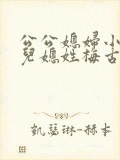 公公媳妇小说 儿媳姓梅古言免费阅读全文