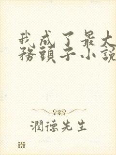 我成了最大的特务头子小说封面