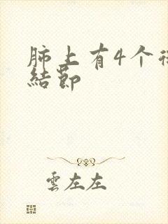 肺上有4个微小结节