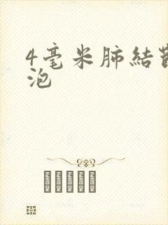 4毫米肺结节空泡