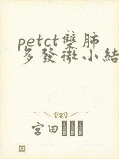 petct双肺多发微小结节