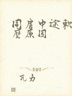 同房中途软了什么原因封面