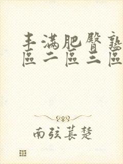 丰满肥臀熟女一区二区三区封面