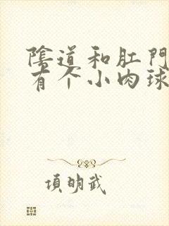 阴道和肛门中间有个小肉球