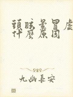 头眩晕冒虚汗是什么原因