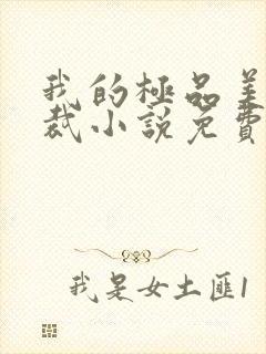 我的极品美女总裁小说免费