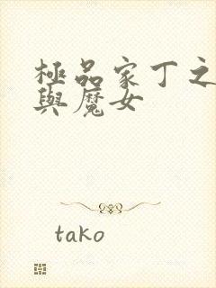 极品家丁之仙子与魔女封面