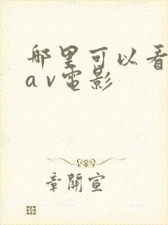 哪里可以看日本a v电影