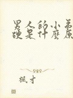 男人的小弟弟不硬是什么原因