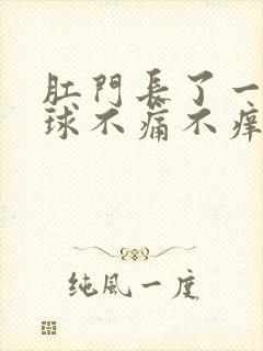 肛门长了一个肉球不痛不痒不出血