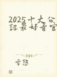 2025十大公认最好看官场小说