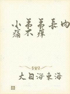 小弟弟长肉粒不痛不痒