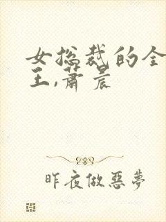 女总裁的全能兵王,萧晨