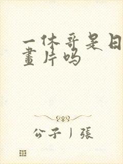 一休哥是日本动画片吗