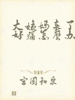 大姨妈来了肚子好痛怎么办