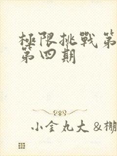 极限挑战第七季第四期封面