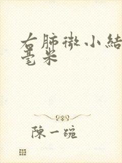 右肺微小结节4毫米