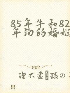 85年牛和82年狗的婚姻怎么样封面