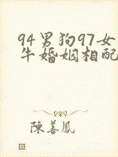 94男狗97女牛婚姻相配好吗封面