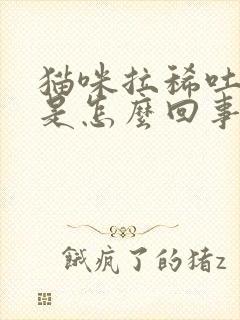 猫咪拉稀吐黄水是怎么回事