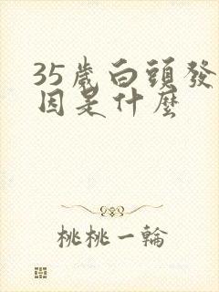 35岁白头发原因是什么