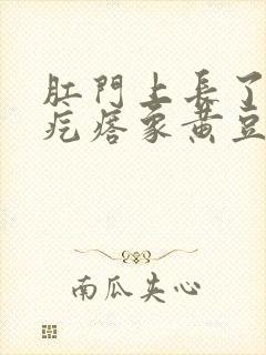 肛门上长了个肉疙瘩象黄豆大小