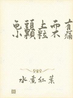 龟头上面有很多小颗粒不痛不痒封面