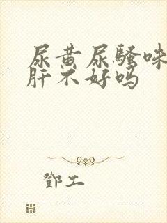 尿黄尿骚味重是肝不好吗