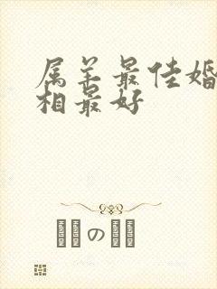 属羊最佳婚配属相最好封面