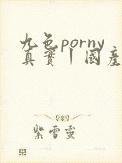 九色porny真实丨国产