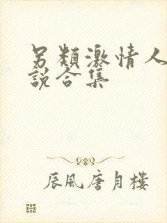 另类激情人妻小说合集