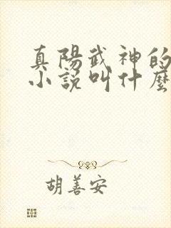 真阳武神的原著小说叫什么