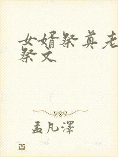 女婿祭奠老丈人祭文